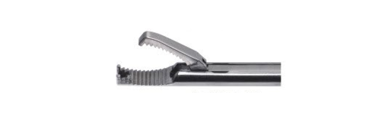 腐骨鉗 (游離體)