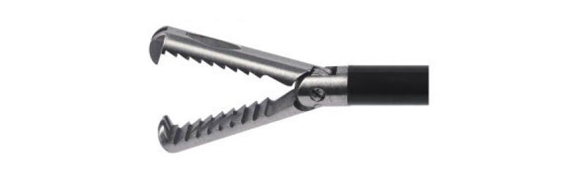 HF2007.27 Grasping,distal 2+3 claws with horizontal serration,fenstrated