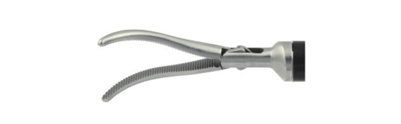 ?HF2005.9 "Maryland"