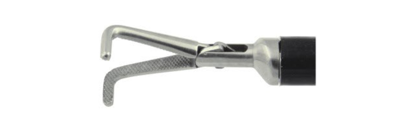 HF2005.11 Dissecting,right angled,pyramidal-shaped teeth